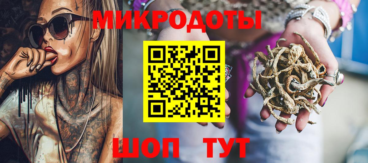 Псилоцибиновые грибы Psilocybine cubensis Гуково