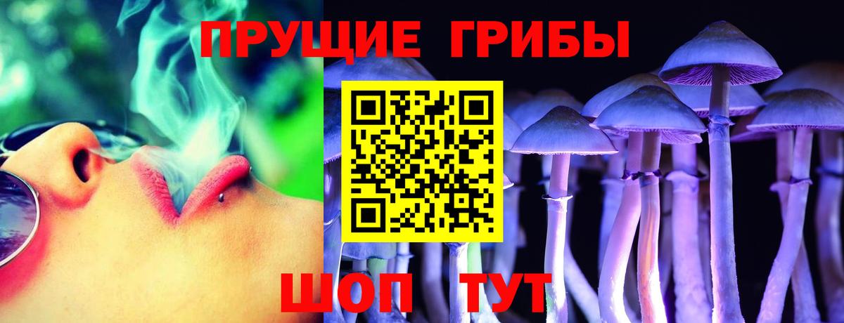 Псилоцибиновые грибы прущие грибы  Вход с VPN  Гуково 